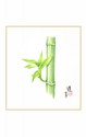 SHIKISHI Grmoglio di Bambu dipinto a mano cm. 24x271 S47