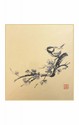 SHIKISHI Passero su sakura stampa ritoccata cm. 24x27 -S34