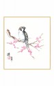 SHIKISHI Passero su sakura  dipinto a mano cm. 24x27 -S57
