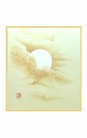 SHIKISHI Luna e nuvole dipinto a mano  cm. 24x27 -S04