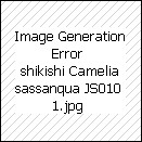 SHIKISHI GIAPPONESE 240X270 mm.  JS010