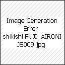SHIKISHI GIAPPONESE 240X270 mm. JS009 VENDUTO