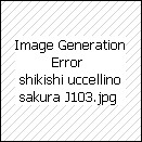 SHIKISHI GIAPPONESE 240X270 mm.  J0103