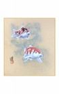 SHIKISHI Carpe dipinto a mano  cm. 24x27 -S16