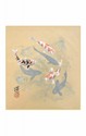 SHIKISHI Carpe dipinto a mano  cm. 24x27 -S18