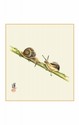 SHIKISHI Coppia lumache dipinte a mano  cm. 24x27 -S27