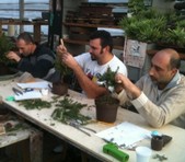 Corso per principianti Pratica 3 ore 